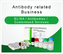 Antibody related Business