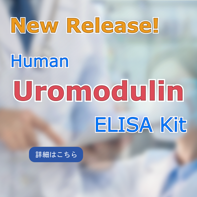 Human Uromodulin ELISA Kit 新発売！