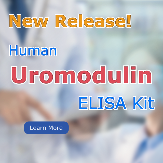 New Release! Human Uromodulin ELISA Kit