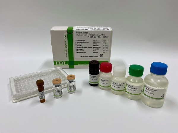27900 Human Titin N-Fragment (Urine) ELISA Kit – IBL