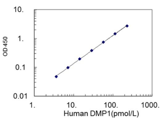 Human DMP1