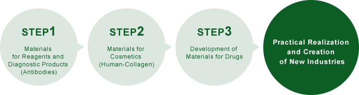 Step 1 Materials for Reagents and Diagnostic Products (Antibodies) → Step 2 Materials for Cosmetics (Human-Collagen) → Step 3 Development of Materials for Drugs