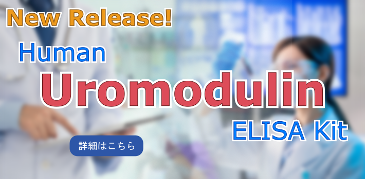 Human Uromodulin ELISA Kit 新発売！