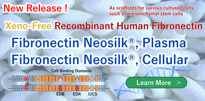New Release! Fibronectin Neosilk®