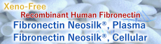 New Release! Fibronectin Neosilk®