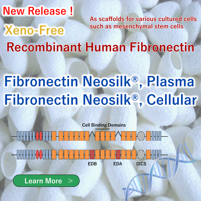 New Release! Fibronectin Neosilk®