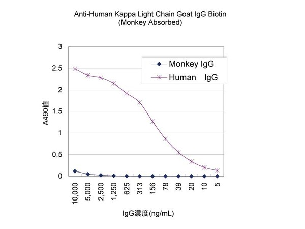 Rabbit Anti-Rat IgG Antibody, mouse adsorbed (H+L), Biotinylated