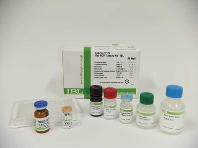 #17176 Rat MCP-1 Assay Kit - IBL