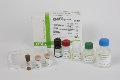 #27101 Rat VEGF Assay Kit - IBL