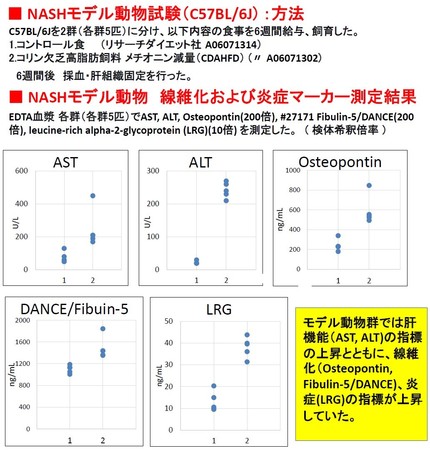 NASHモデル動物試験 Osteopontin, DANCE/Fibulin-5, LRG