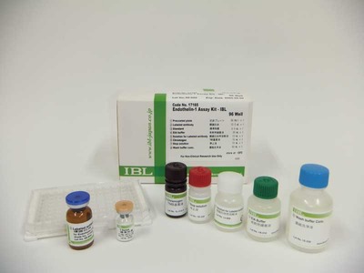 #17165 Endothelin-1 Assay Kit - IBL