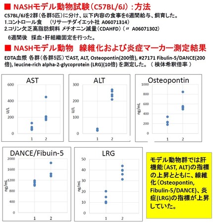 Amazon.co.jp: Principles and Practice血液・造血器・リンパ系