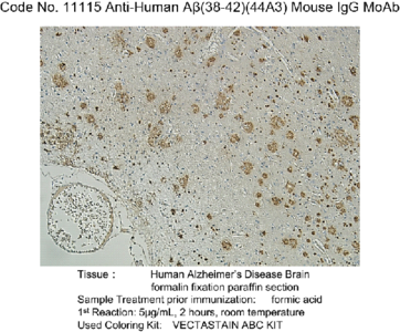 #11115 Anti-Human Amyloidβ (38-42) (44A3) Mouse IgG MoAb