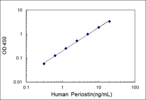 Human Periostin