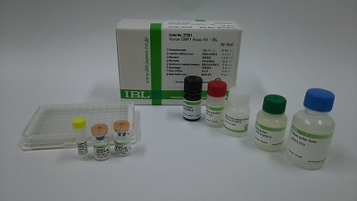 #27261 Human DMP1 Assay Kit - IBL