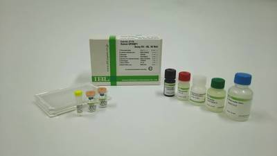 #27179 Human GPIHBP1 Assay Kit - IBL