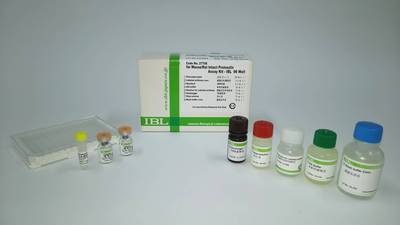 #27706 Mouse/Rat Intact Proinsulin Assay Kit - IBL