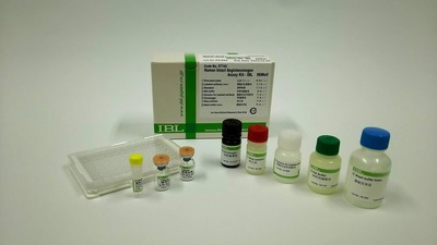 #27742 Human Intact Angiotensinogen Assay Kit - IBL