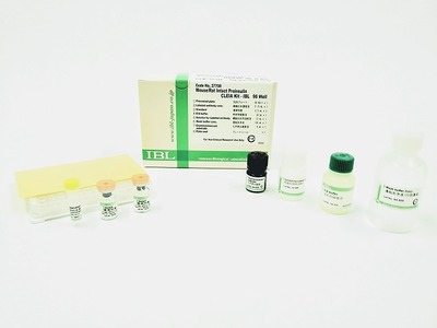 #27708 Mouse/Rat Intact Proinsulin CLEIA Kit - IBL