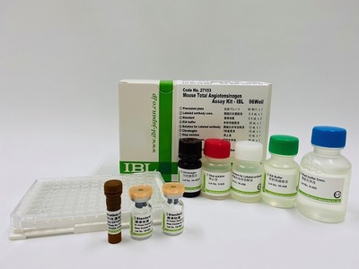 #27103 Mouse Total Angiotensinogen Assay Kit - IBL