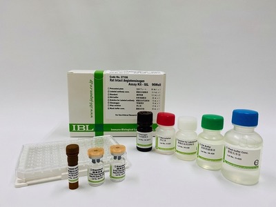 #27106 Rat Intact Angiotensinogen Assay Kit - IBL