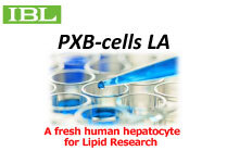 Announce about contract test service using PXB-cells LA.