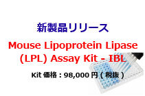 Mouse Lipoprotein Lipase (LPL) Assay Kit - IBL 新発売！