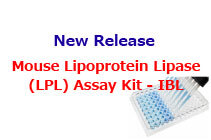 New Release!  Mouse Lipoprotein Lipase (LPL) Assay Kit – IBL