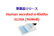 Human secreted α-Klotho Assay Kit - IBL 新発売！