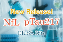 Human NfL / Phospho Tau (217P) ELISA Kit　新発売！
