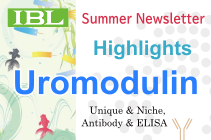 Uromodulin research report (Summer Newsletter 2024)