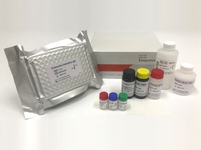 #50200 赤痢アメーバ抗体ELISA-IBL