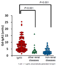 Gd-IgA1revel