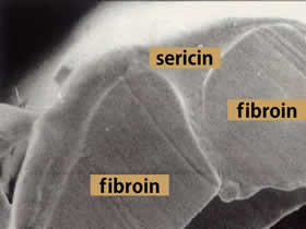 sericin/fibroin image