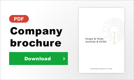 pamphlet_company-profile