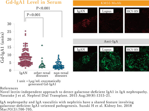 APP695 aa  – Transmembrane (TM) protein / mainly expressed in neuron cell