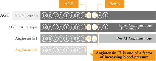 APP695 aa  – Transmembrane (TM) protein / mainly expressed in neuron cell