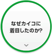 なぜカイコに着目したのか?