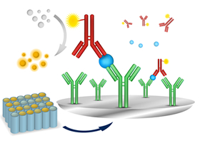 Development of Research Reagents Image2