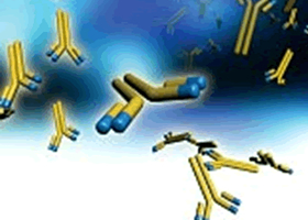 Manufacturing of Antibodies used for Research Reagents and Diagnostic Products